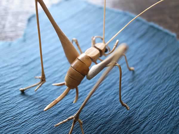 秋と竹の虫 - 竹虎四代目がゆく！